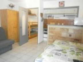 Appartement Saint-Lary-Soulan, 1 pièce, 4 personnes - FR-1-457-236 Saint-Lary-Soulan